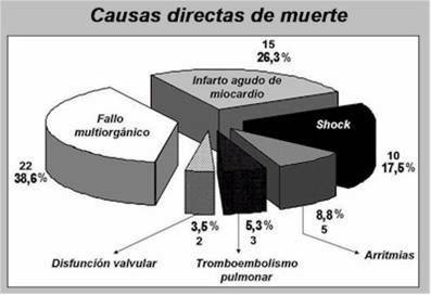 Figura 2 - Causas directas de muerte